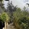 Green Villa Sapa