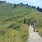 Alpin-Check-in