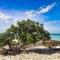 Eagle Stays Aruba-NEW Luxury, Cozy & Spacious Studio Near Eagle Beach!
