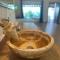 All inclusive Punta Allen Luxury private Villa - Punta Allen