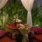 Green Selukat Corner Villa