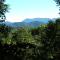 Check out this MOUNTAIN VIEW from the hot tub HONEY BEAR HIDEAWAY! - Sevierville