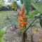 Lodging Adventure La Gamba