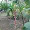 Lodging Adventure La Gamba