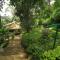 The Tall Trees - Munnar