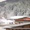Apartment near Streuboden ski area