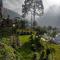 Chamba Nest - Chamba