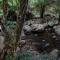 The Glenrock Wellness Nature Resort