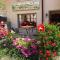 Spacious House with Mountain View in Haut-Intyamon - Les Sciernes d'Albeuve