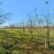 The Orchard - Hugo