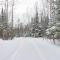 Ice Fish on South Fork Lake From Nashwauk Studio - Nashwauk