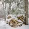 Nashwauk Studio with Ice Fishing on South Fork Lake - Nashwauk