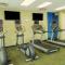 SpringHill Suites by Marriott Buffalo Airport