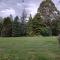 Alpine Holiday Apartments & Campground