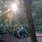 Los Mineros Guesthouse