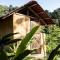 Blue Dot - jungle eco hostel