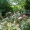 Riza Stone Cottage, romantic house, pet friendly