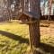 Vakantievilla t Boshuys