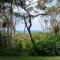 Driftwood on Home Beach - Absolute Beachfront - Пойнт-Лукаут