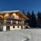 Luxury apartment in Les Diablerets
