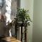 Annas Cozy Stone House