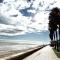 Batflats-Palmeres Playa - Sueca