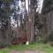 Los Olivos Hosteria JM Cayambe - 卡扬贝