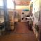 Spacious Villa in Sant Gregori with Private Pool - Sant Gregori