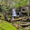 Unique and Private 25ft Waterfall House in Hunter - Elka Park