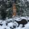 Forest Sweet Retreat Hot Tub & Wood Fired Sauna