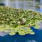 Billing Aquadrome Northampton, Hailsham 2 Bedrooms, BLP60 - 北安普敦
