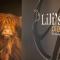 Claras & Lilis Place by Le Jacquemart