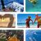 La Perle Bleue, ,Condo 1 chambre bord de mer et piscine ,Trois ilets - 莱特鲁瓦西莱