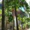 Jungleparadiso Homestay