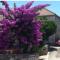 Apartment Glavica