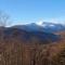 Tin Mountain Treetops Time