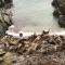 Mevagissey Boutique Flatlet with sea and countryside views