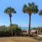 Palms C4