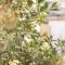 Papamoa Beach Getaway, Cosy Tiny Home with Spa - باباموا