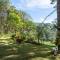 Mimosa Forest - Ấp Xuân An
