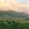 Hyatt Regency Maui Resort & Spa - Lahaina