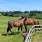 Barn Conversion on Farm with Beautiful Views - Corley