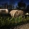 Wimbish Hall Cabins