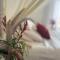 Suite Elisir Egitto Domina Coral Bay Resort - Sarm es-Sejk