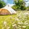 Primrose at Blancas Bell Tents - Ringstead