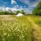Red Clover at Blancas Bell Tents - Ringstead