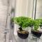 Stunning 3 bed house - Wantage - 旺塔奇