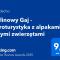 Malinowy Gaj - Agroturystyka z alpakami i innymi zwierzętami