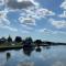 Zwaan 24-6