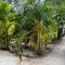 Ubay Guest House